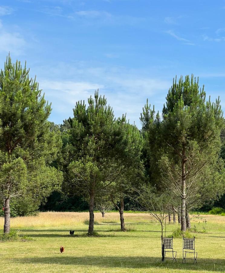 Laguillotte Panzió Seignosse Kültér fotó